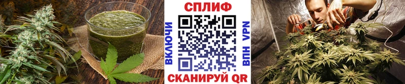Cannafood конопля  что такое   Гаврилов Посад 
